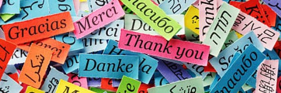 Thank you Lavis, dankie Elsies, Belhar, Kuila, Ravensmead, Belhar and…